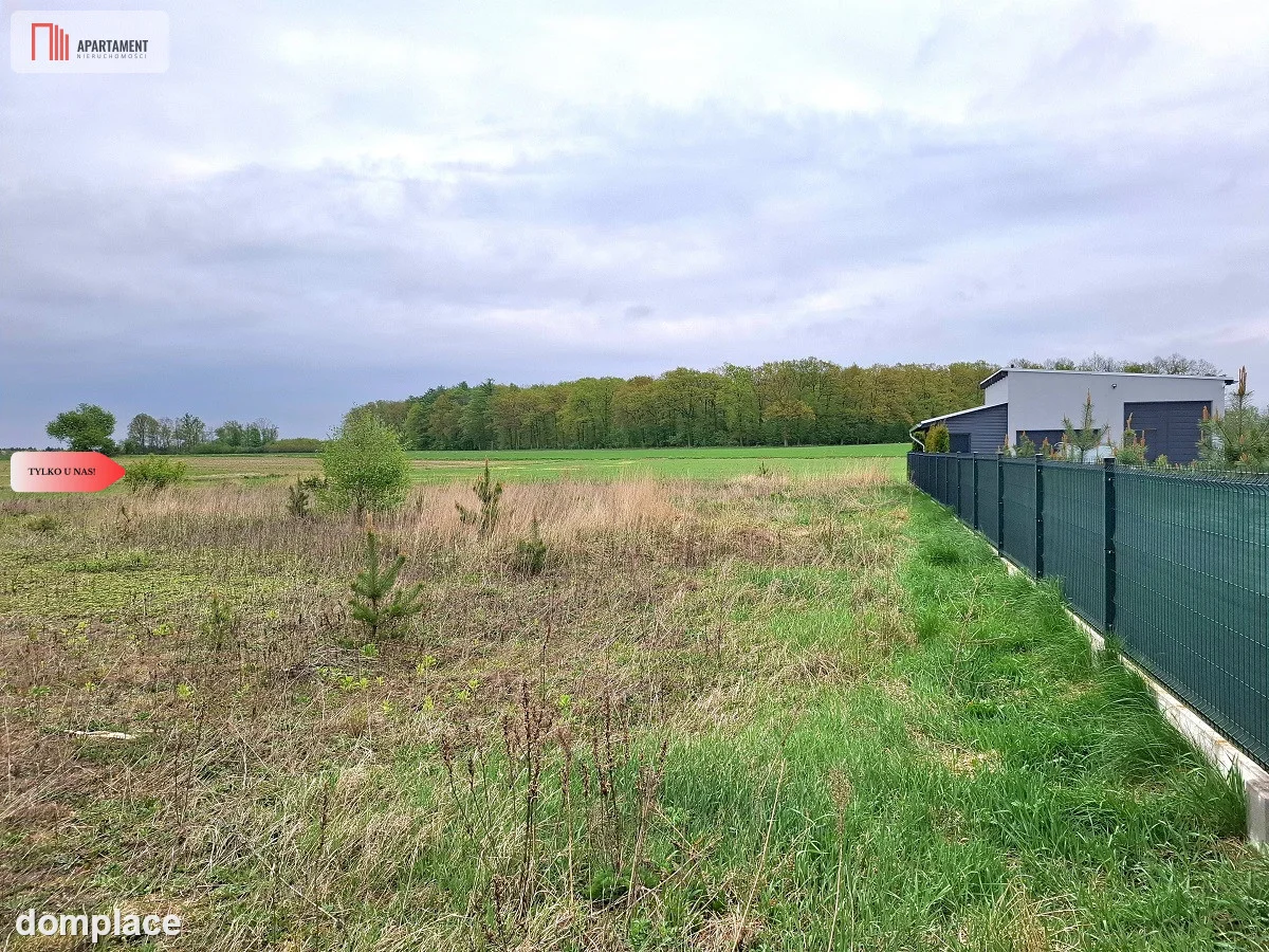 Szczutki 1106m2 malownicze miejsce pola lasy — zdjęcie 4