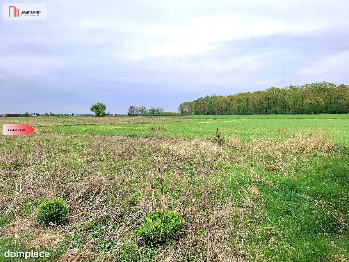 Szczutki 1106m2 malownicze miejsce pola lasy — zdjęcie 6