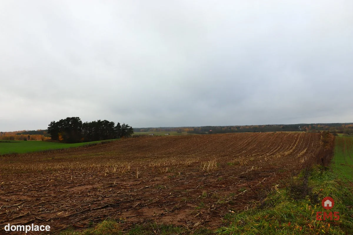 Działka rolno-budowlana - Żegary, gm. Sejny — zdjęcie 11