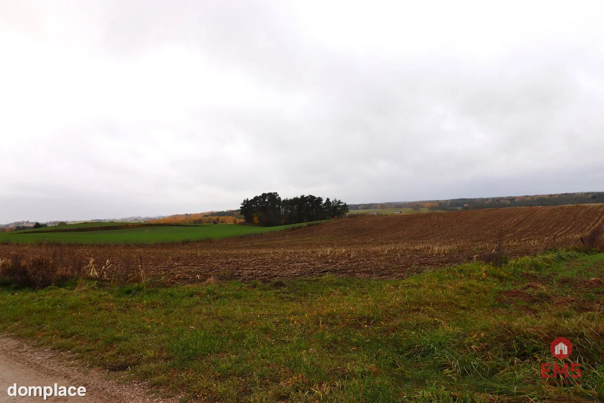 Działka rolno-budowlana - Żegary, gm. Sejny — zdjęcie 6