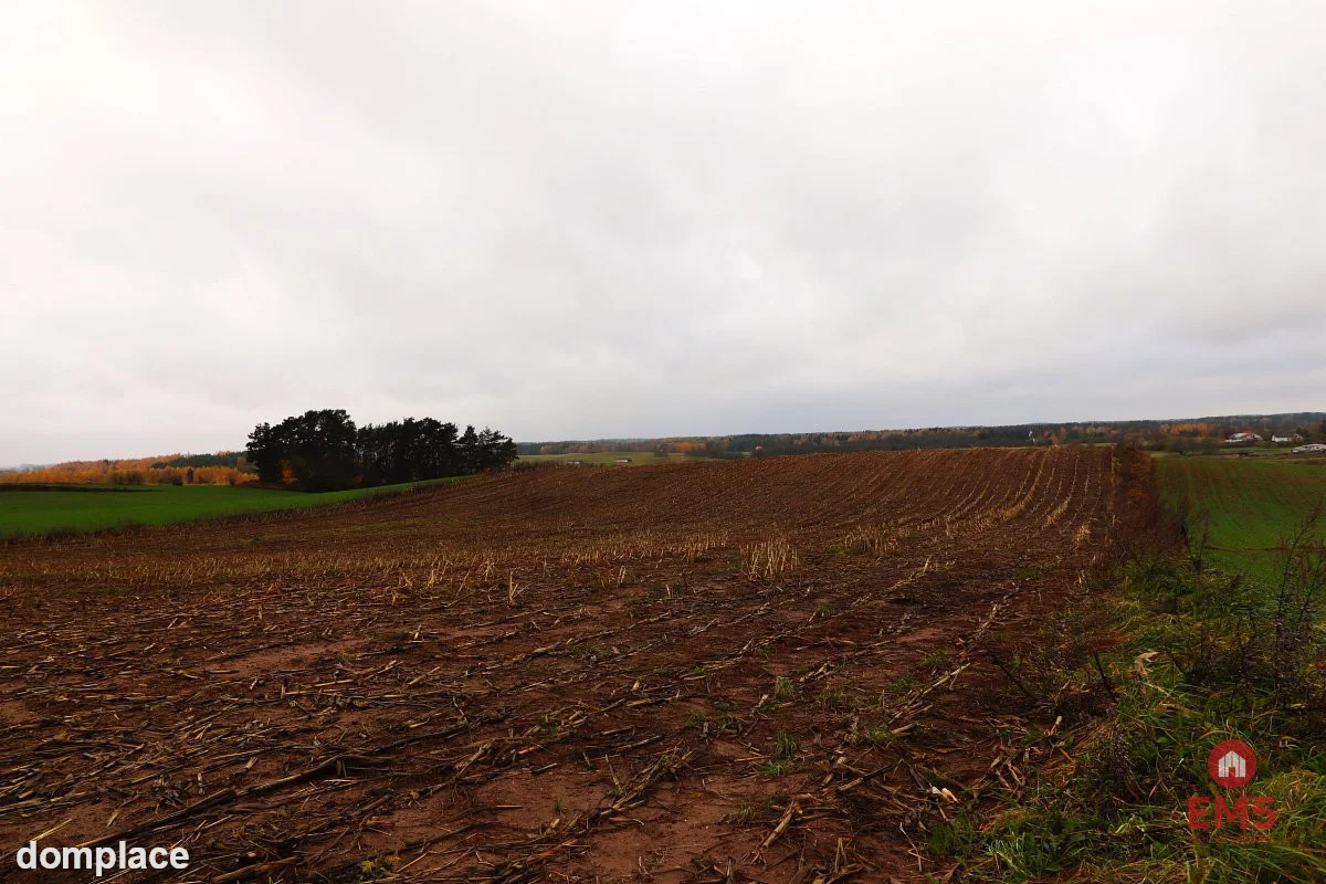 Działka rolno-budowlana - Żegary, gm. Sejny — zdjęcie 3