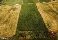 Działka - Żegary, gm. Sejny — zdjęcie 7