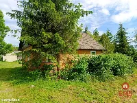 Siedlisko Kowale + las — zdjęcie 2