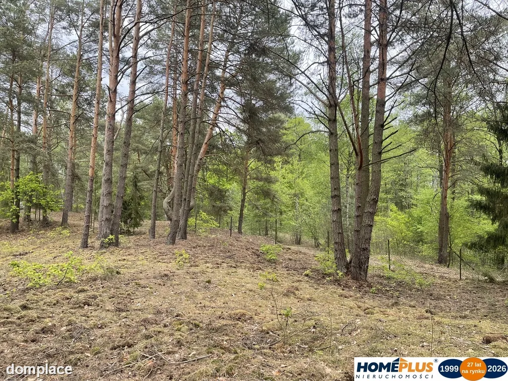 Działka w lesie 2064 m² - letniskowa i całoroczna