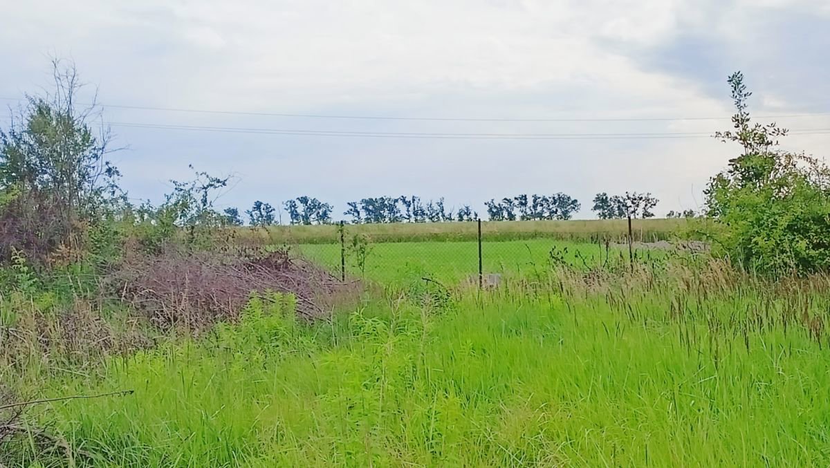 Działka z MPZP, możliwość dalszego podziału.