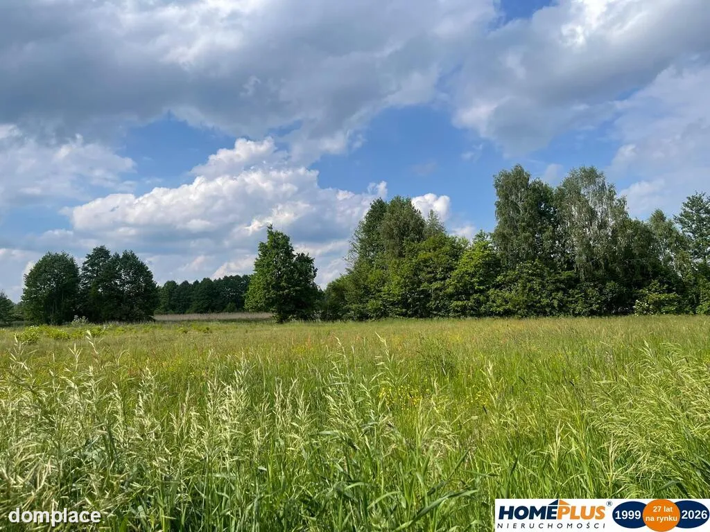 8808 m² pod zabudowę jednorodzinną i usługi.