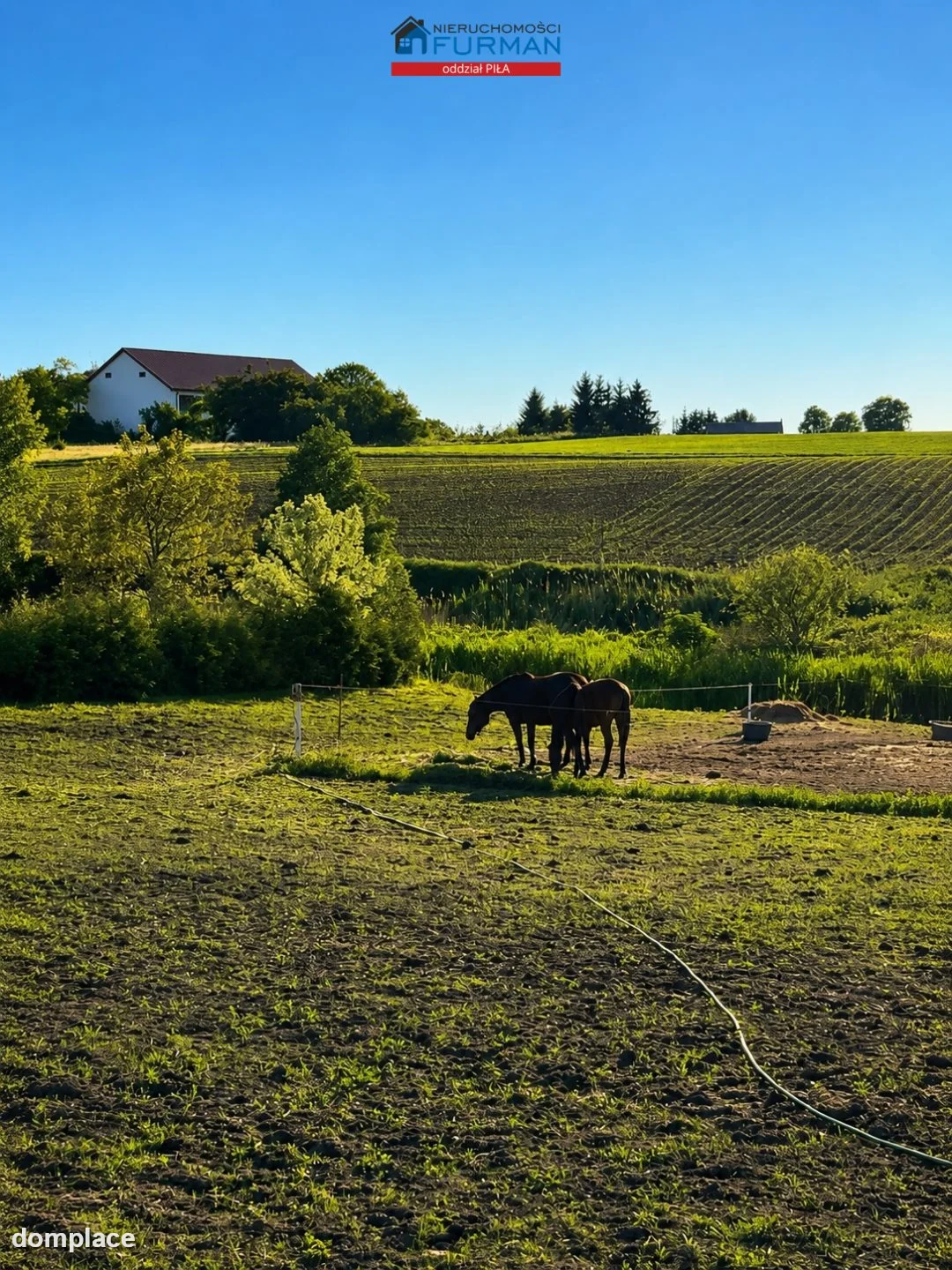 Dom — Dźwierszno Wielkie, Dźwierszno Wielkie — zdjęcie 5