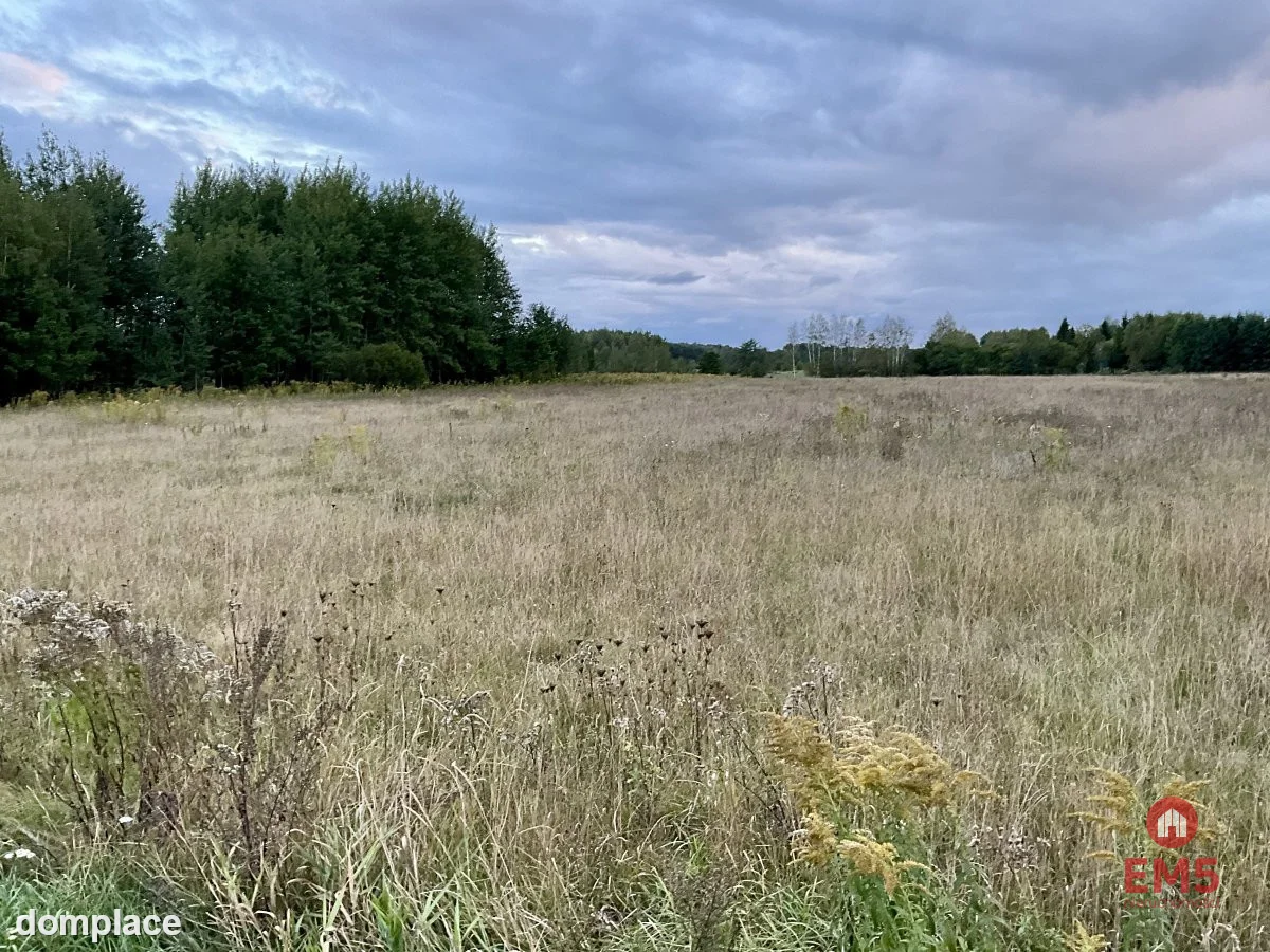 Sobolewo zaciszna działka obok miasta. — zdjęcie 4