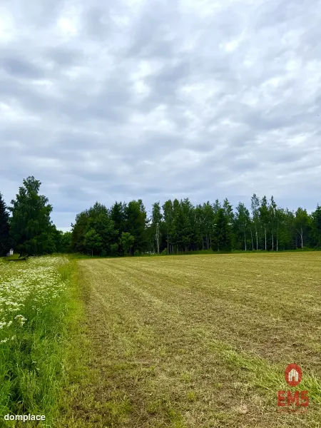 Twoja prywatna linia brzegowa nad Jeziorem Hańcza — zdjęcie 2