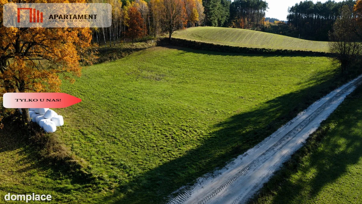 Spokój, natura, jeziora–działka zagrodowa Dormowo — zdjęcie 7