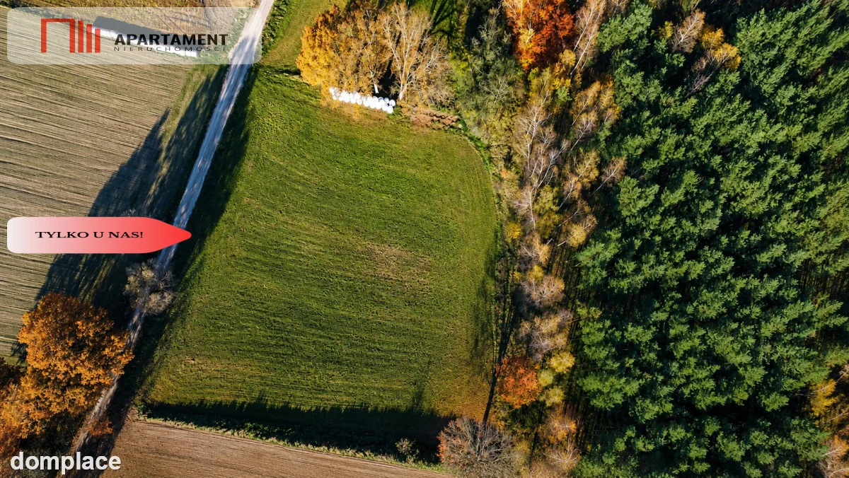 Spokój, natura, jeziora–działka zagrodowa Dormowo — zdjęcie 6