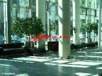 Lokal użytkowy — Warszawa, Wola — zdjęcie 7