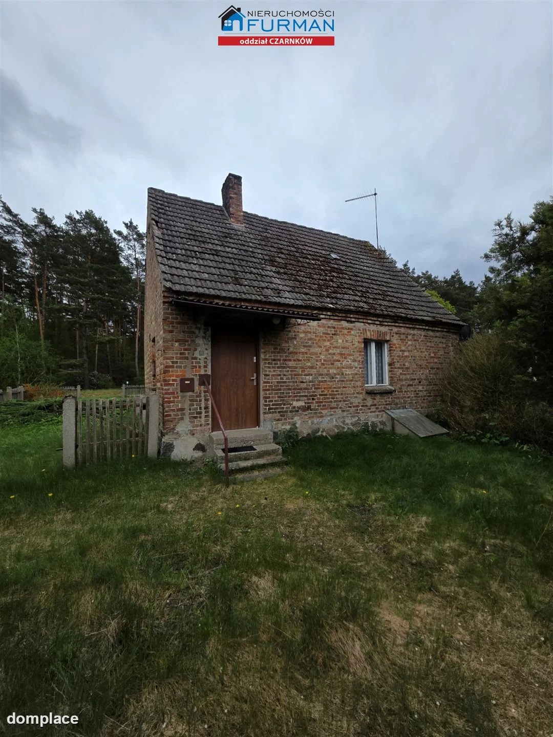 Działka — Krucz — zdjęcie 12