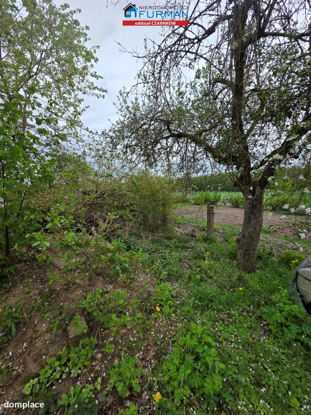 Działka — Krucz — zdjęcie 2