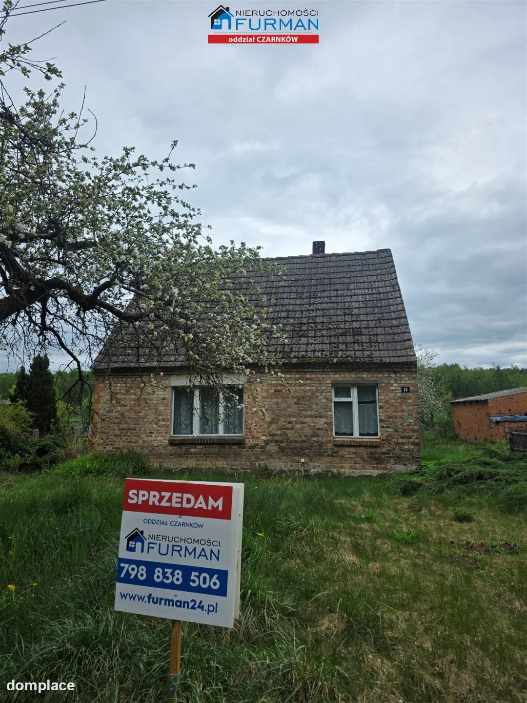 Działka — Krucz — zdjęcie 4