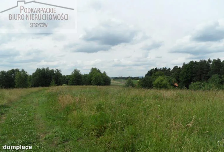 Działka — strzyżowski, Strzyżów