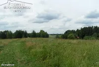 Działka — strzyżowski, Strzyżów — zdjęcie 1