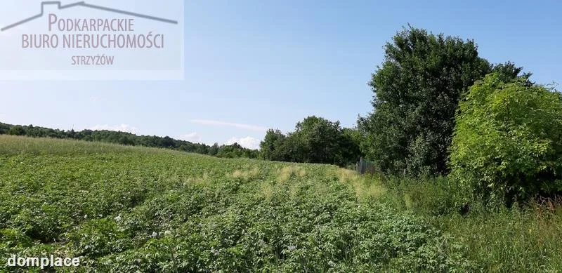 Działka — strzyżowski, Frysztak — zdjęcie 2