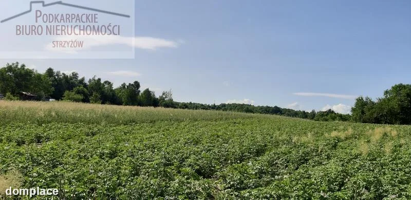 Działka — strzyżowski, Frysztak — zdjęcie 3