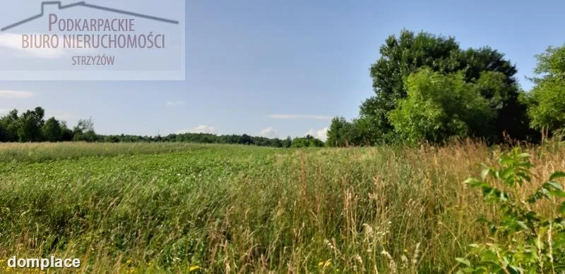 Działka — strzyżowski, Frysztak — zdjęcie 4