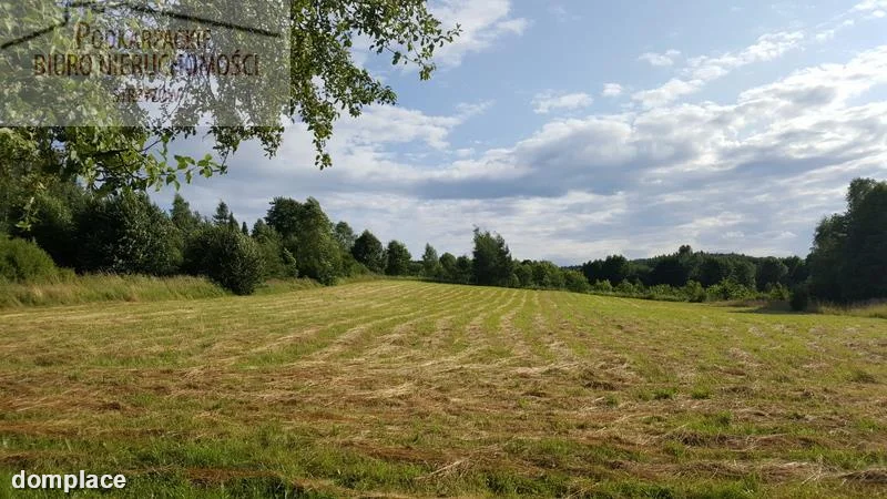 Działka — sanocki, Sanok — zdjęcie 2