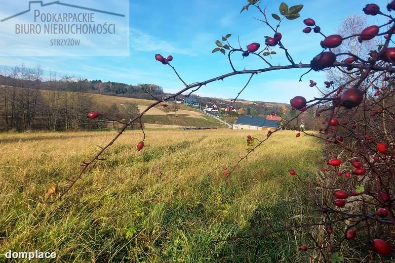 Działka — sanocki, Sanok — zdjęcie 3