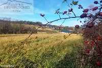 Działka — sanocki, Sanok — zdjęcie 3