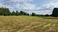 Działka — sanocki, Sanok — zdjęcie 4