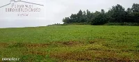 Działka — strzyżowski, Strzyżów — zdjęcie 1