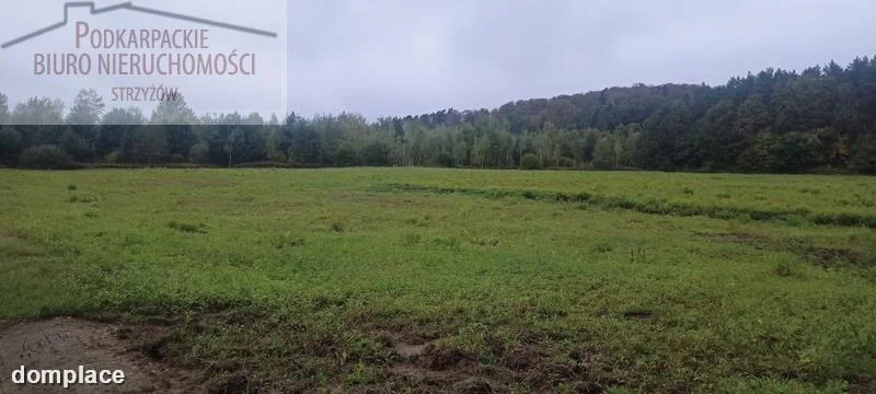 Działka — strzyżowski, Frysztak