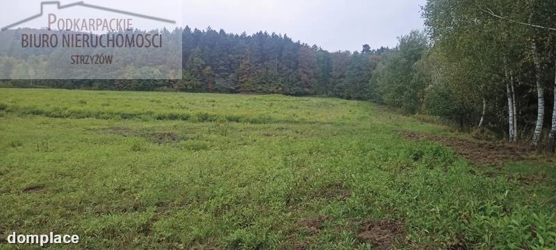 Działka — strzyżowski, Frysztak — zdjęcie 2