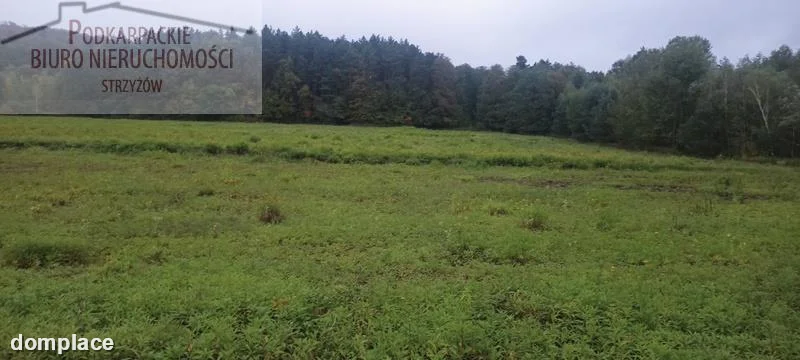 Działka — strzyżowski, Frysztak — zdjęcie 4