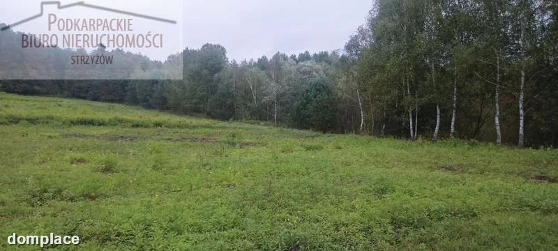 Działka — strzyżowski, Frysztak — zdjęcie 5