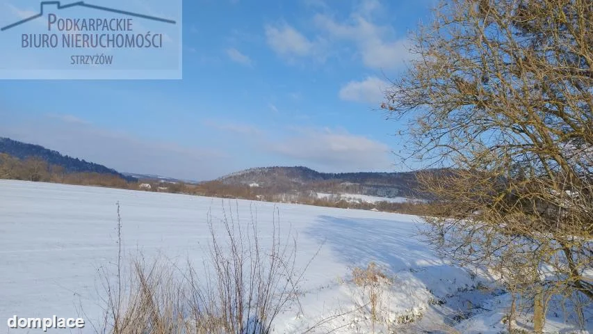 Działka — strzyżowski, Frysztak — zdjęcie 3