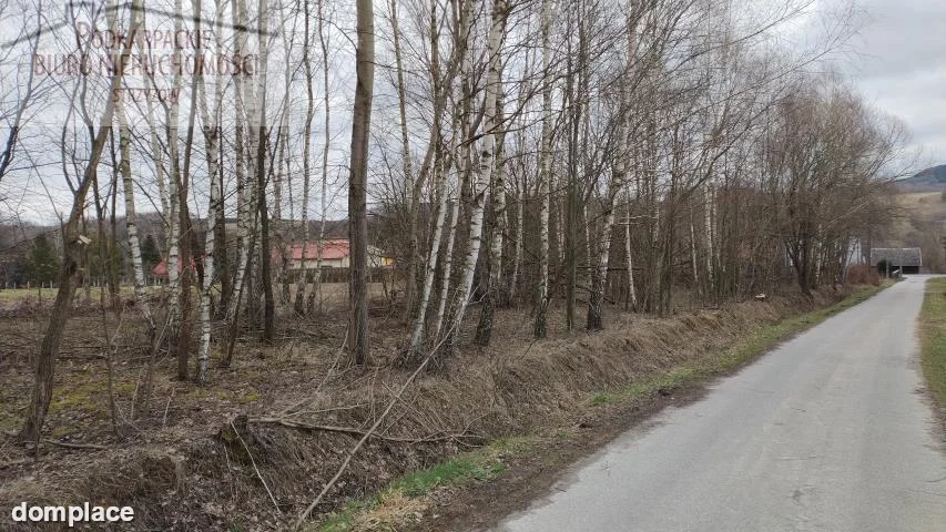 Działka — strzyżowski, Strzyżów — zdjęcie 5