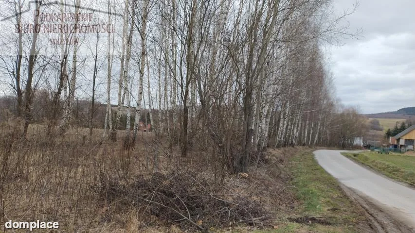 Działka — strzyżowski, Strzyżów — zdjęcie 6