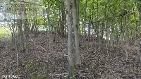 Działka — strzyżowski, Strzyżów — zdjęcie 2