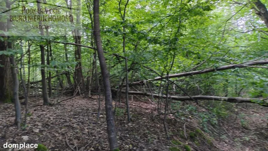 Działka — strzyżowski, Strzyżów — zdjęcie 3