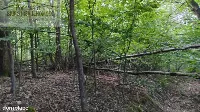 Działka — strzyżowski, Strzyżów — zdjęcie 3