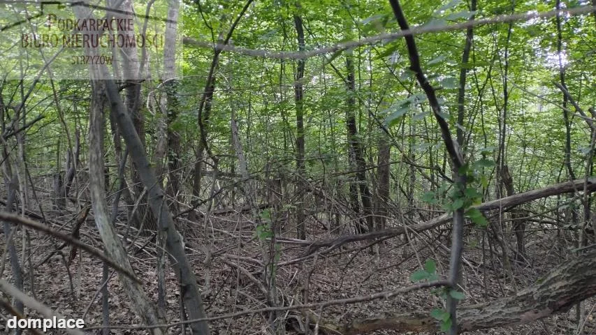 Działka — strzyżowski, Strzyżów — zdjęcie 4