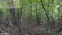 Działka — strzyżowski, Strzyżów — zdjęcie 4