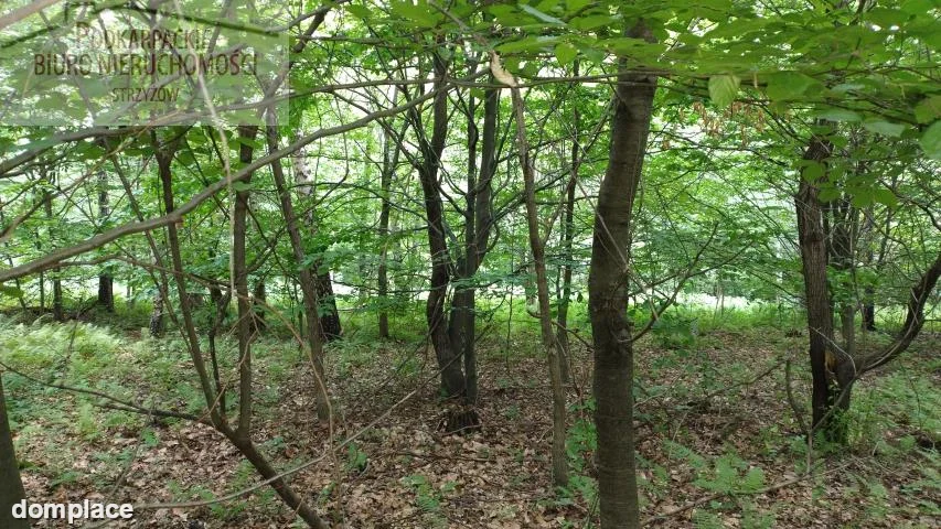 Działka — strzyżowski, Strzyżów — zdjęcie 3