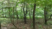 Działka — strzyżowski, Strzyżów — zdjęcie 3