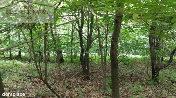 Działka — strzyżowski, Strzyżów — zdjęcie 3