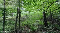 Działka — strzyżowski, Strzyżów — zdjęcie 4