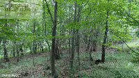 Działka — strzyżowski, Strzyżów — zdjęcie 5