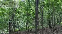 Działka — strzyżowski, Strzyżów — zdjęcie 6