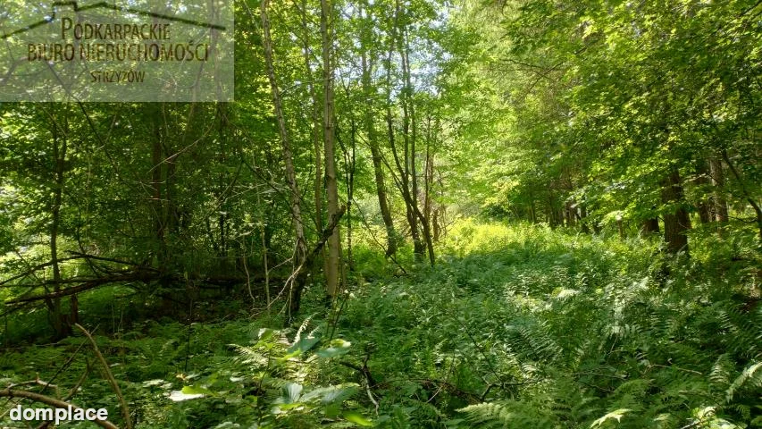 Działka — strzyżowski, Strzyżów — zdjęcie 9