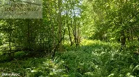 Działka — strzyżowski, Strzyżów — zdjęcie 9