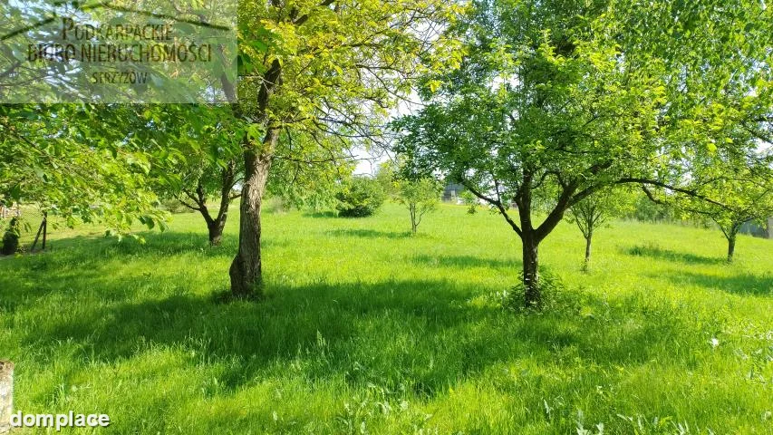 Działka — strzyżowski, Strzyżów